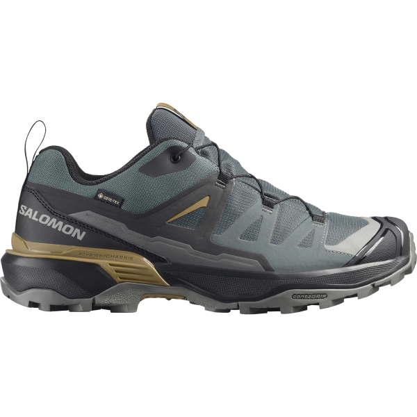 SALOMON SHOES X ULTRA 360 GTX Ubnchi/Black/Plant