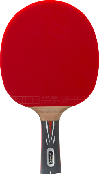 DONIC Tischtennis-Schläger Top Team 800