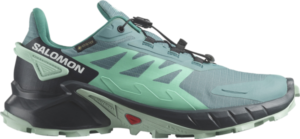 SALOMON Damen Trailrunningschuhe SHOES SUPERCROSS 4 GTX W Dustur/Indink/B