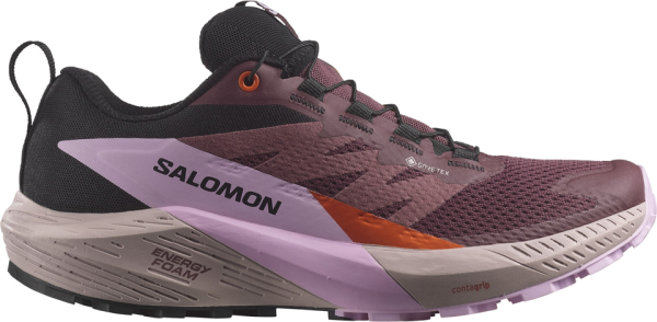 SALOMON Damen Trailrunningschuhe SHOES SENSE RIDE 5 GTX W Catawg/Orchib/C