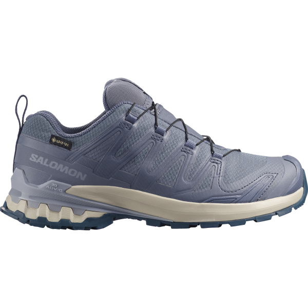 SALOMON SHOES XA PRO 3D V9 GTX W Grisai/Tradewin