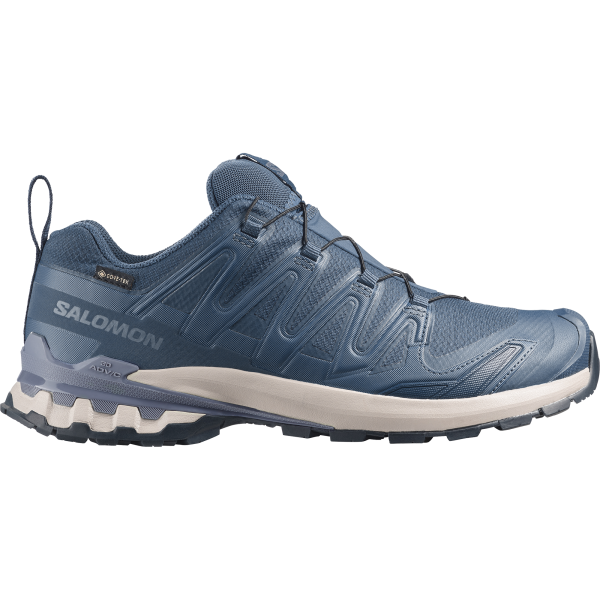 SALOMON SHOES XA PRO 3D V9 GTX Spellb/Grisai/Mar